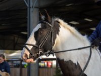 dsc 0909 30146278664 o