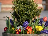 dsc 0917 30777907315 o