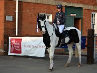 dsc 0931 30658507265 o