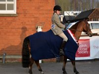 dsc 0937 30742491416 o