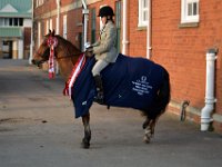 dsc 0944 30143529563 o