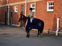 dsc 0951 30147478524 o