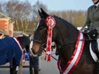 dsc 0960 30541768052 o