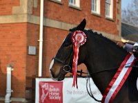 dsc 0964 30658671205 o