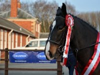 dsc 0965 30570636001 o