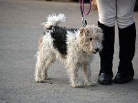 dsc 0995 30025231303 o