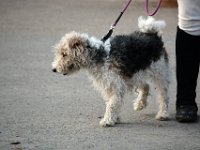 dsc 0997 30025243293 o