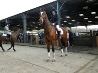 dscn2680 30741753996 o