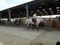 dscn2709 30690051931 o