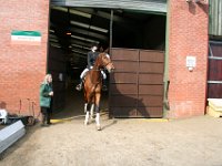 img 7602 30147139984 o