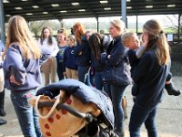 img 7664 30742287586 o