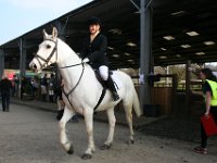 img 7668 30690529611 o