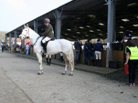 img 7681 30742318506 o