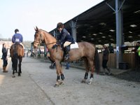 img 7710 30662170032 o