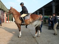 img 7731 30777688505 o