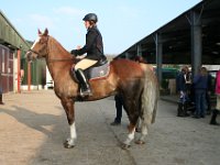 img 7732 30146096144 o