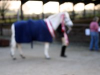 img 7784 30779381315 o