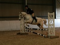 img 8483 30476562580 o