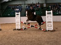 img 8686 30777574335 o