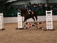 img 8691 30142111213 o