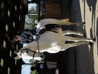 dscn2009 30262323396 o