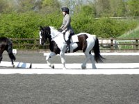 dsc02513 30181844482 o