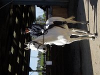 dscn2008 30211633431 o