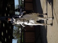 dscn2011 30000702750 o