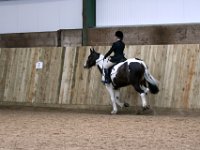 IMG 9181