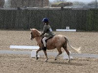 IMG 0324