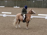 IMG 0351
