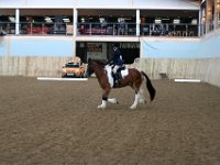 IMG 9453