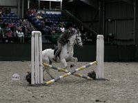 IMG 8215