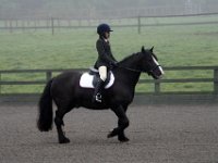 20080528 MM Dressage 1