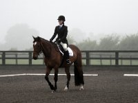 20080528 MM Dressage 2