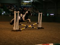 IMG 3932