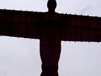 P000537