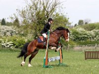 IMG 4066