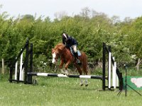 IMG 4095
