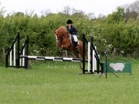 IMG 4275