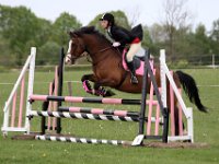 IMG 4282