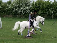 IMG 9085