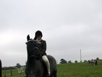 IMG 8894