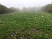 IMG 7774