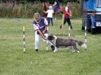 IMG 9029