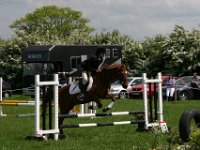 IMG 2948