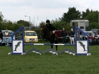 IMG 2980