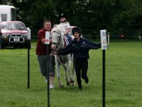 IMG 2987