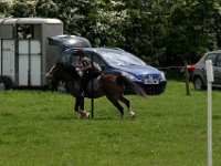 IMG 3012