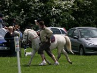 IMG 3016
